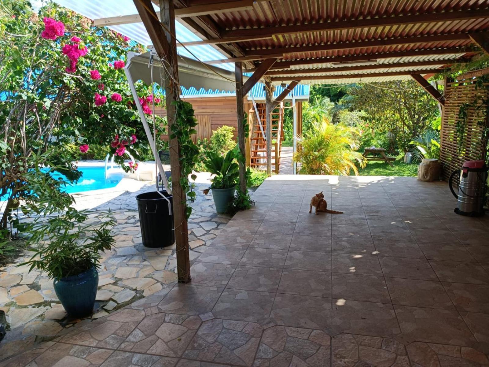 Les Gîtes du Sud - Ô Naturel Gourbeyre Exterior foto